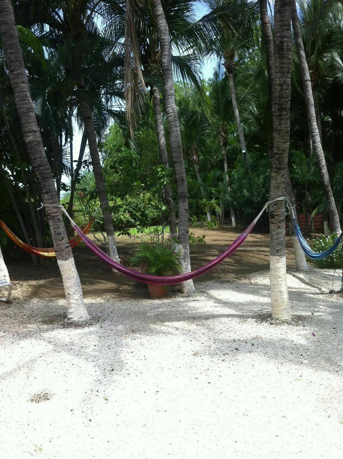 Hotel Laguna Del Cocodrilo Tamarindo Exterior foto